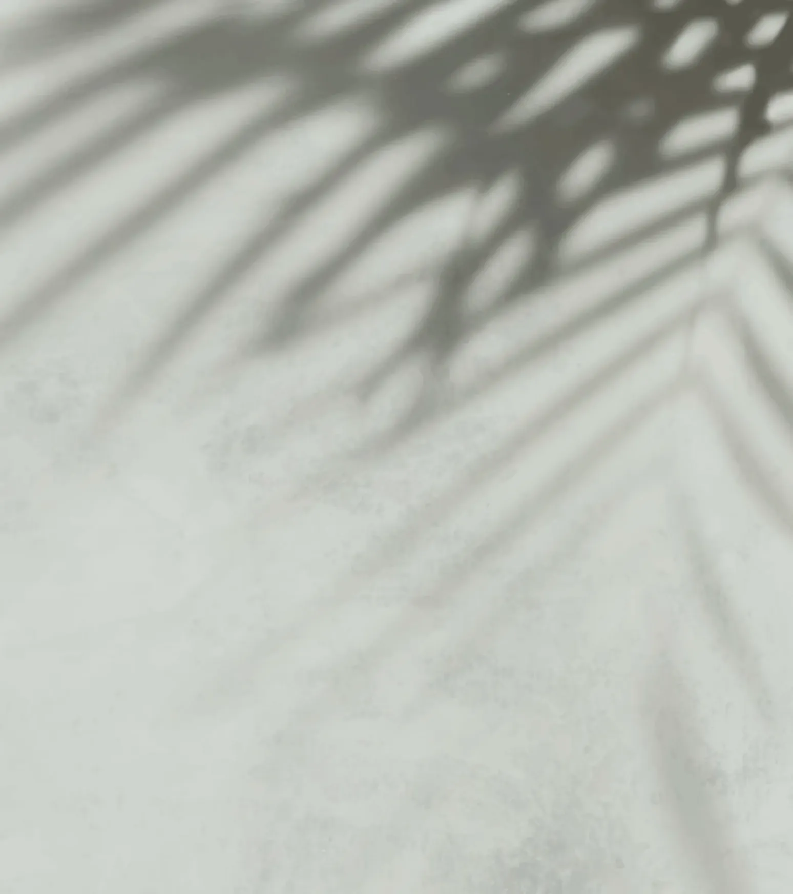 Palm shadow texture